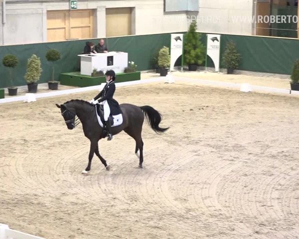 Reitturnier Dielsdorf, Horsepark 2019