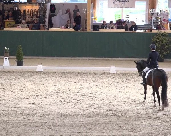 Reitturnier Dielsdorf, Horsepark 2019