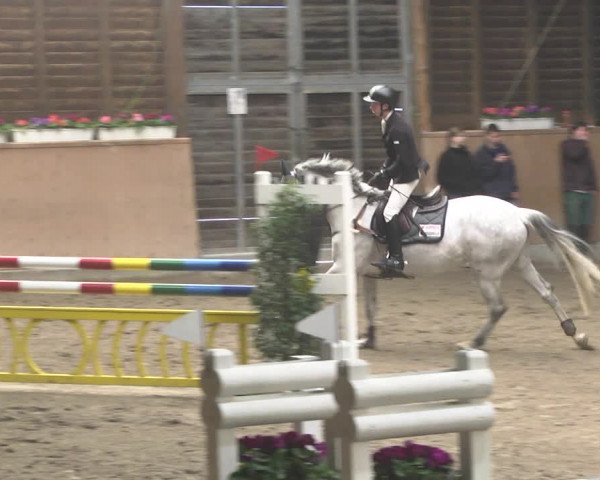 Reitturnier Mannheim-Neckarau 2019