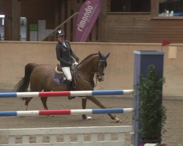 Reitturnier Mannheim-Neckarau 2019