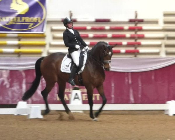 Reitturnier Eicherloh RH Laurent/Obb. 2019