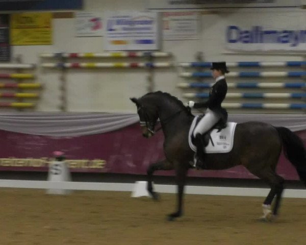 Reitturnier Eicherloh RH Laurent/Obb. 2019