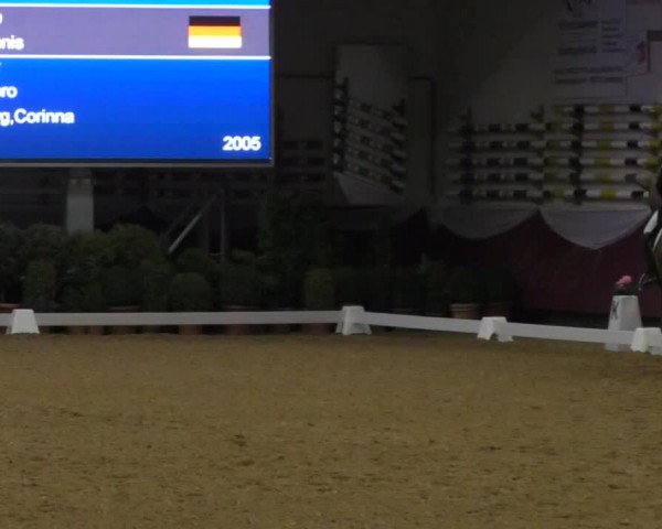 Reitturnier Eicherloh RH Laurent/Obb. 2019