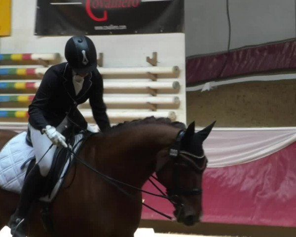 Reitturnier Eicherloh RH Laurent/Obb. 2019