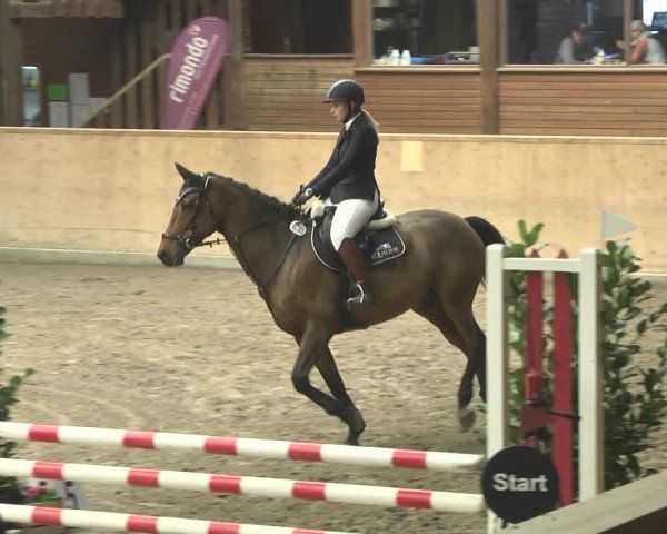 Reitturnier Mannheim-Neckarau 2019