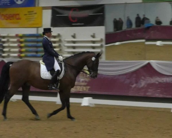 Reitturnier Eicherloh RH Laurent/Obb. 2019