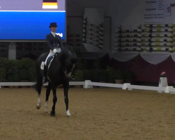 Reitturnier Eicherloh RH Laurent/Obb. 2019