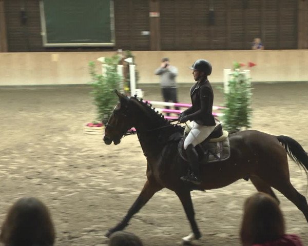 Reitturnier Mannheim-Neckarau 2019