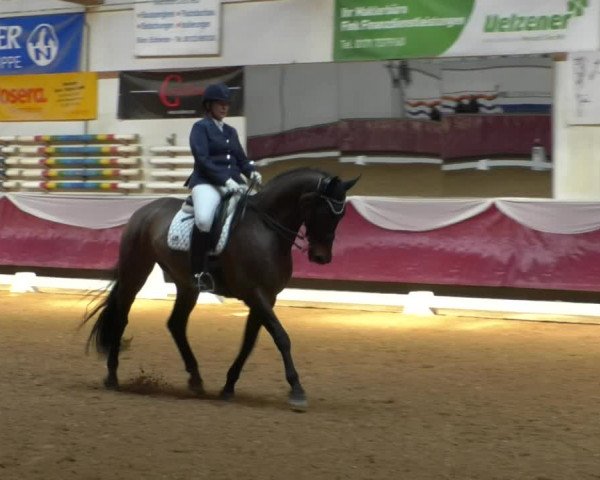 Reitturnier Eicherloh RH Laurent/Obb. 2019