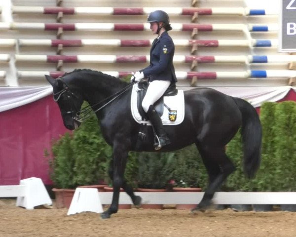 Reitturnier Eicherloh RH Laurent/Obb. 2019