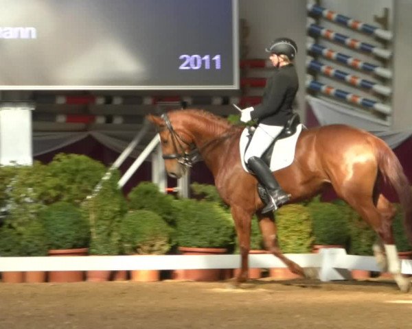 Reitturnier Eicherloh RH Laurent/Obb. 2019