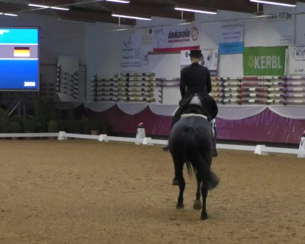 Reitturnier Eicherloh RH Laurent/Obb. 2019