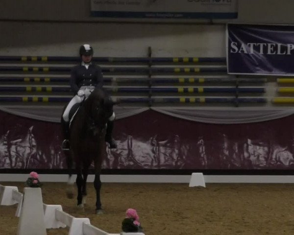 Reitturnier Eicherloh RH Laurent/Obb. 2019