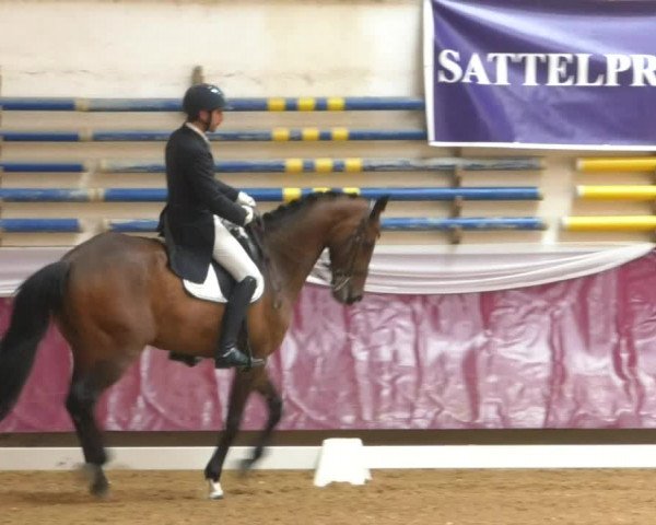 Reitturnier Eicherloh RH Laurent/Obb. 2019