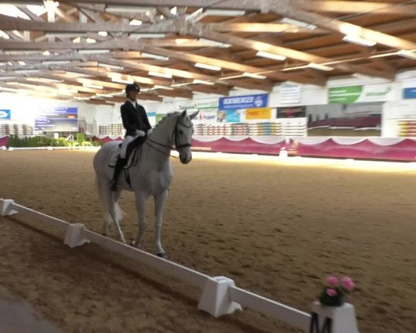 Reitturnier Eicherloh RH Laurent/Obb. 2019