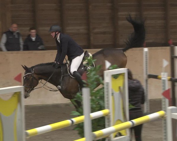 Reitturnier Mannheim-Neckarau 2019
