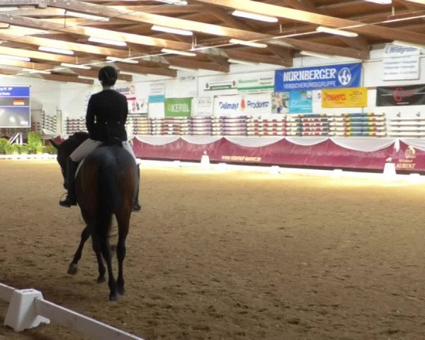 Reitturnier Eicherloh RH Laurent/Obb. 2019