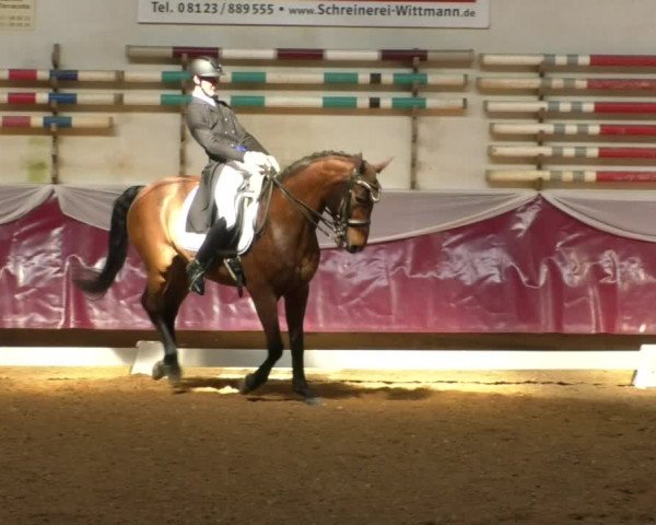 Reitturnier Eicherloh RH Laurent/Obb. 2019