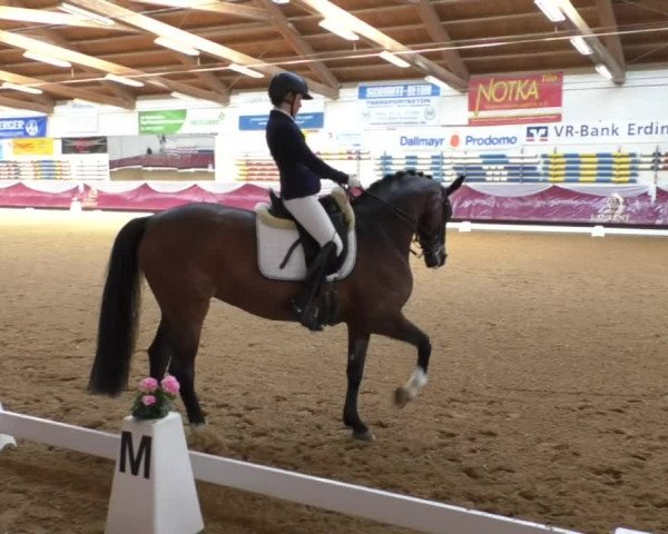 Reitturnier Eicherloh RH Laurent/Obb. 2019