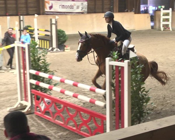 Reitturnier Mannheim-Neckarau 2019
