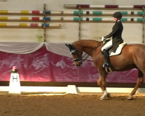 Reitturnier Eicherloh RH Laurent/Obb. 2019