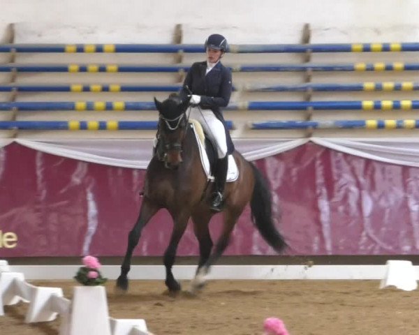 Reitturnier Eicherloh RH Laurent/Obb. 2019
