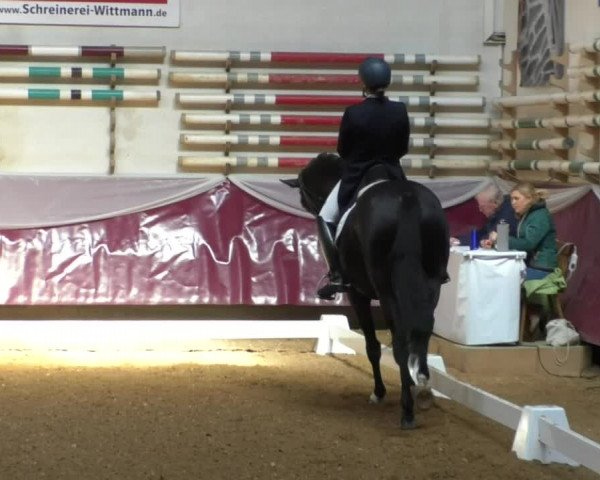 Reitturnier Eicherloh RH Laurent/Obb. 2019