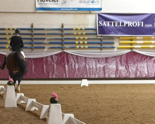 Reitturnier Eicherloh RH Laurent/Obb. 2019