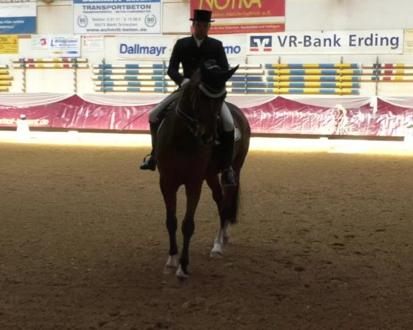 Reitturnier Eicherloh RH Laurent/Obb. 2019