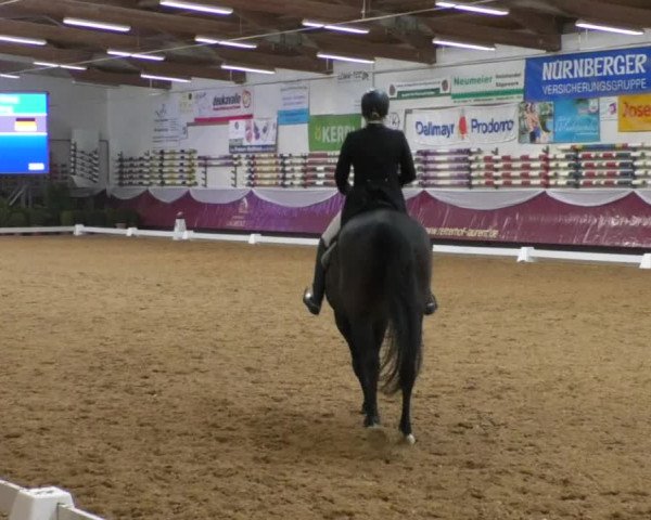 Reitturnier Eicherloh RH Laurent/Obb. 2019