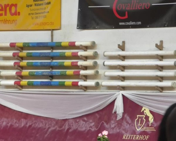 Reitturnier Eicherloh RH Laurent/Obb. 2019