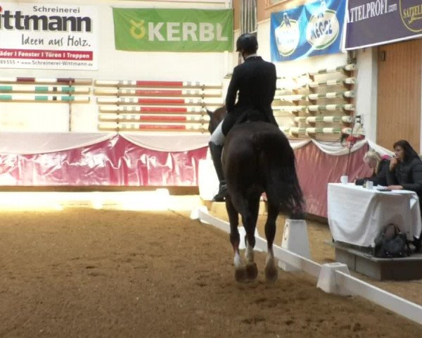 Reitturnier Eicherloh RH Laurent/Obb. 2019