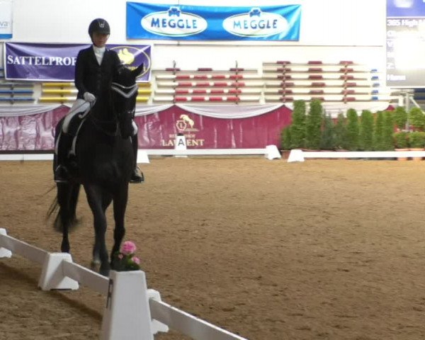 Reitturnier Eicherloh RH Laurent/Obb. 2019