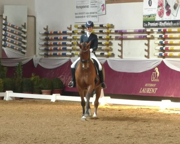 Reitturnier Eicherloh RH Laurent/Obb. 2019