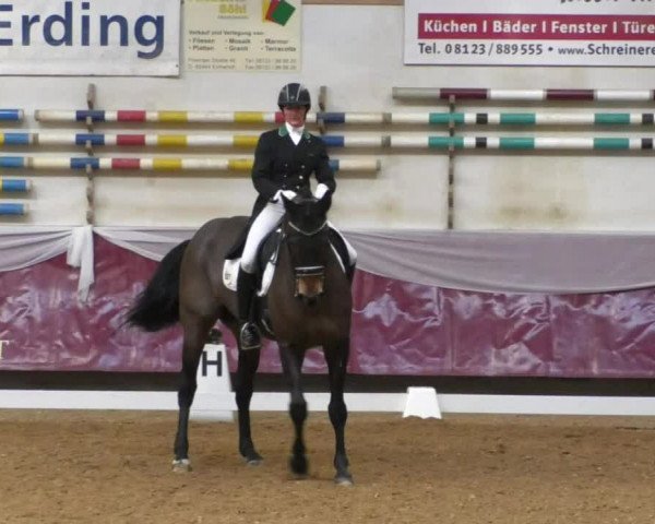 Reitturnier Eicherloh RH Laurent/Obb. 2019