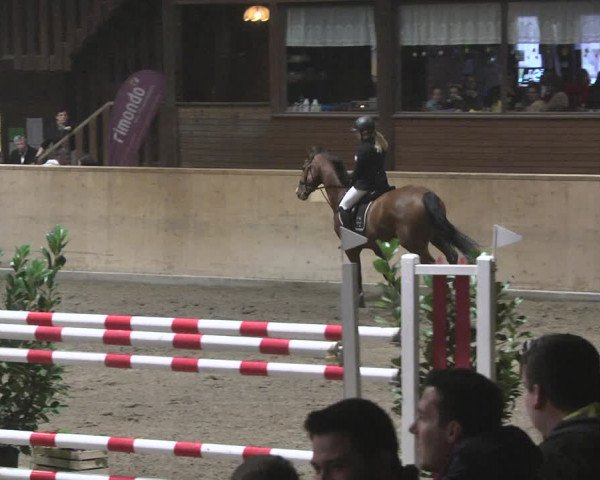 Reitturnier Mannheim-Neckarau 2019