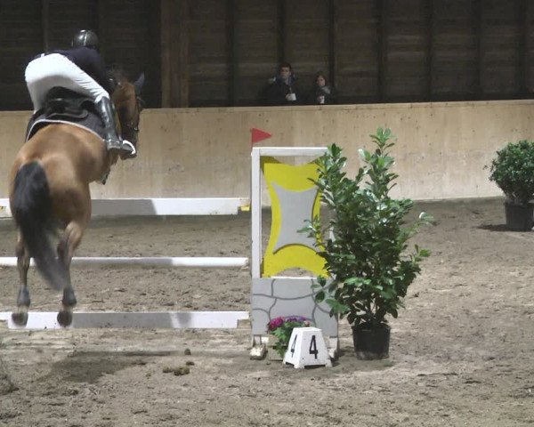 Reitturnier Mannheim-Neckarau 2019
