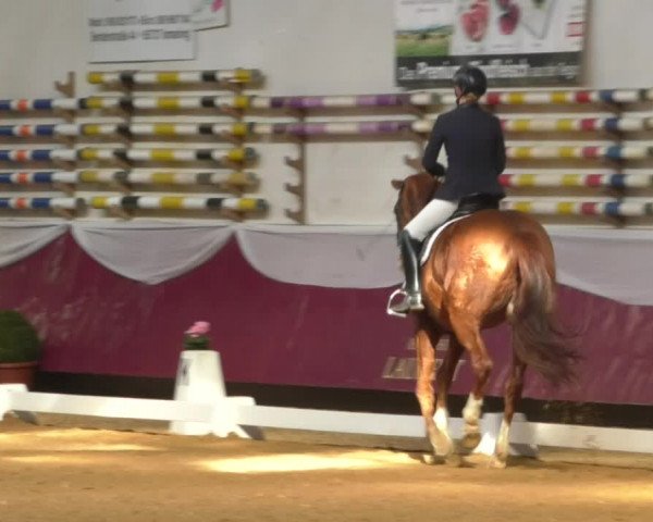 Reitturnier Eicherloh RH Laurent/Obb. 2019
