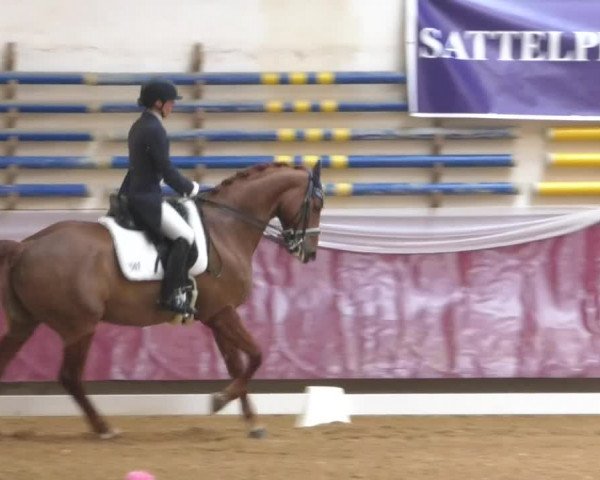 Reitturnier Eicherloh RH Laurent/Obb. 2019