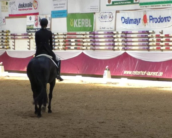 Reitturnier Eicherloh RH Laurent/Obb. 2019