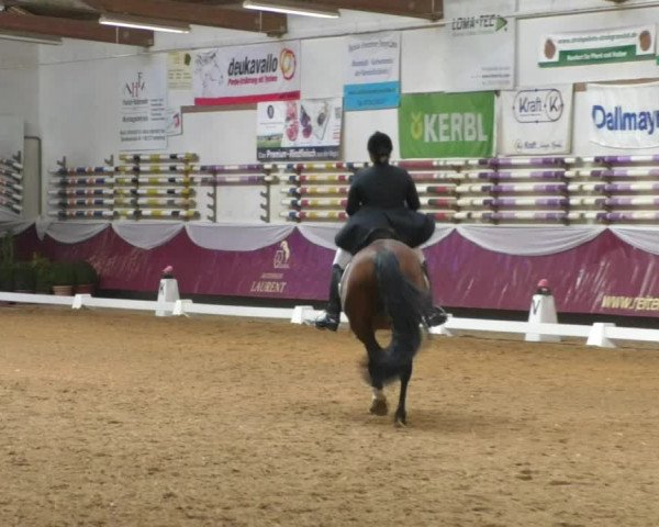 Reitturnier Eicherloh RH Laurent/Obb. 2019