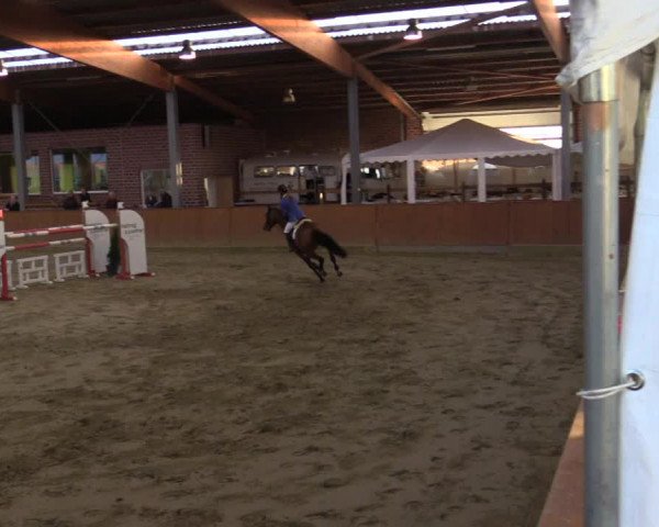 Rosendorf Classics 2019 Seppenrade