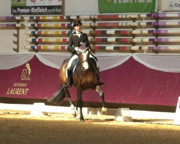Reitturnier Eicherloh RH Laurent/Obb. 2019