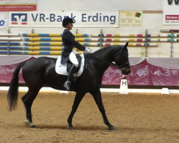 Reitturnier Eicherloh RH Laurent/Obb. 2019