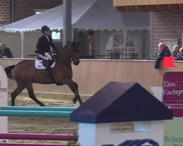 Rosendorf Classics 2019 Seppenrade