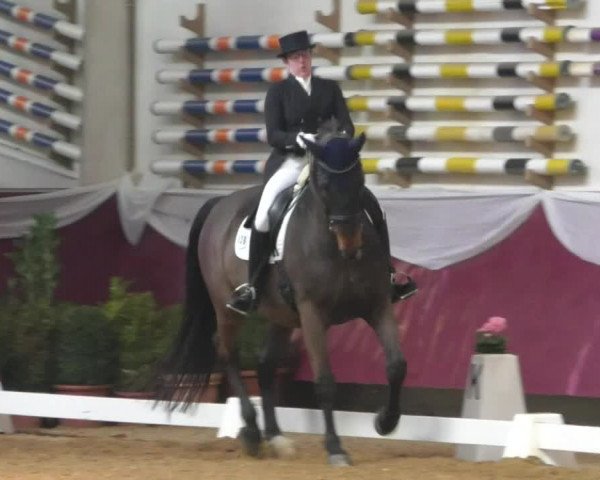 Reitturnier Eicherloh RH Laurent/Obb. 2019