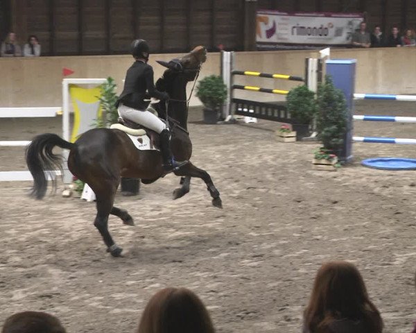 Reitturnier Mannheim-Neckarau 2019