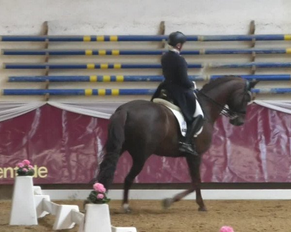 Reitturnier Eicherloh RH Laurent/Obb. 2019