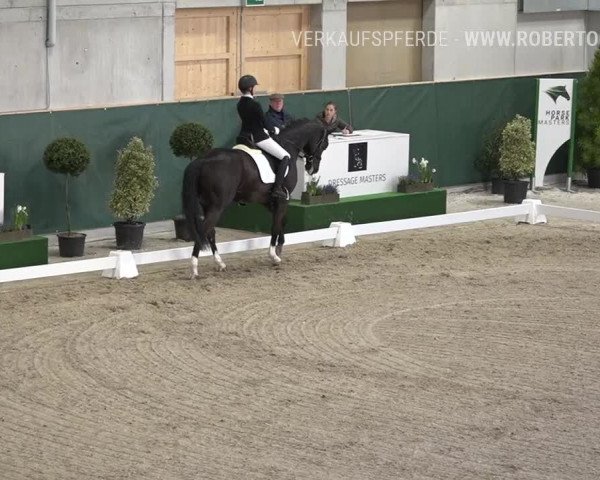 Reitturnier Dielsdorf, Horsepark 2019