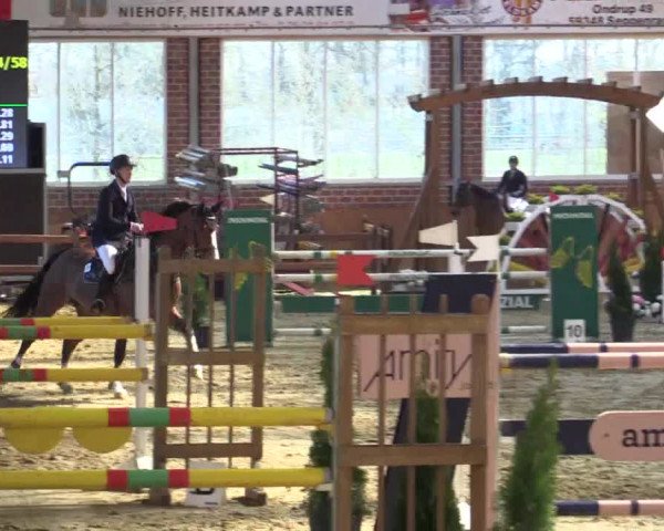 Rosendorf Classics 2019 Seppenrade